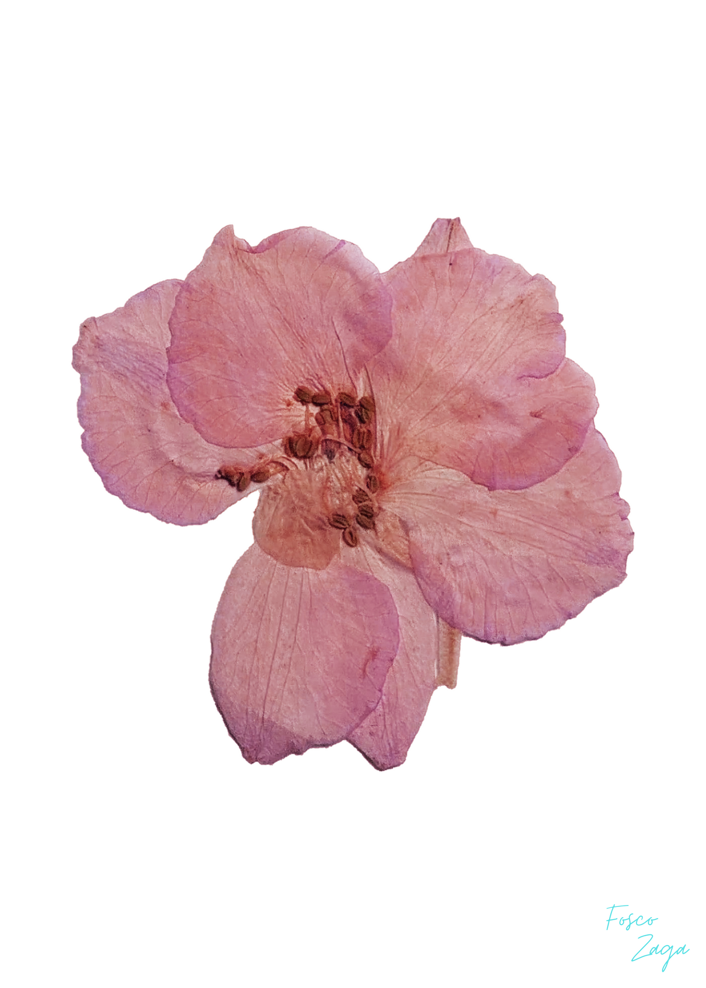 Fleur du mal #9
