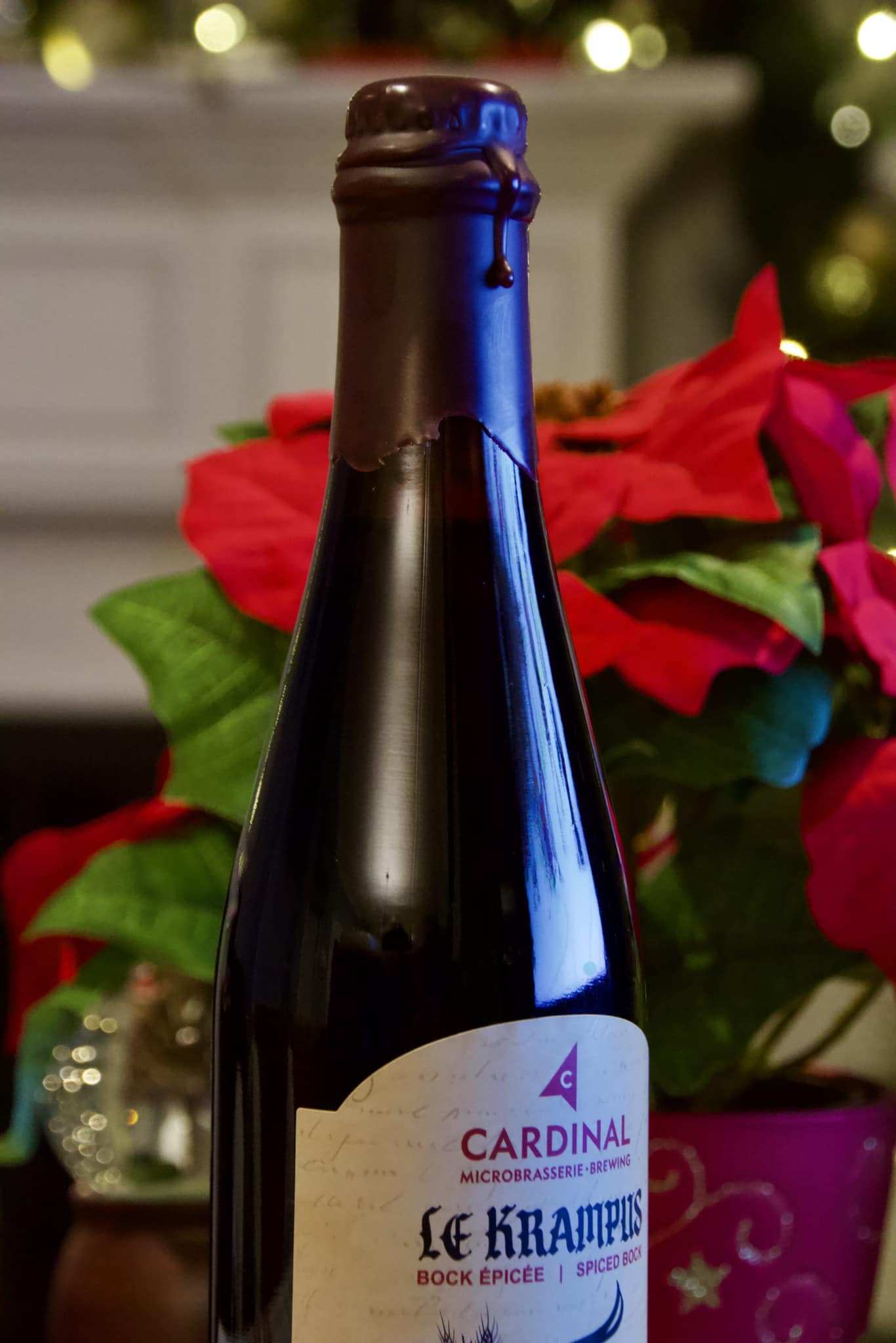 Krampus Bock épicé (500 ml)