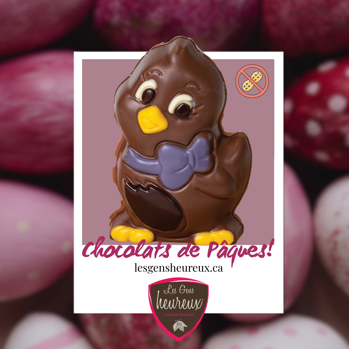 Poussin sans arachides (75g)